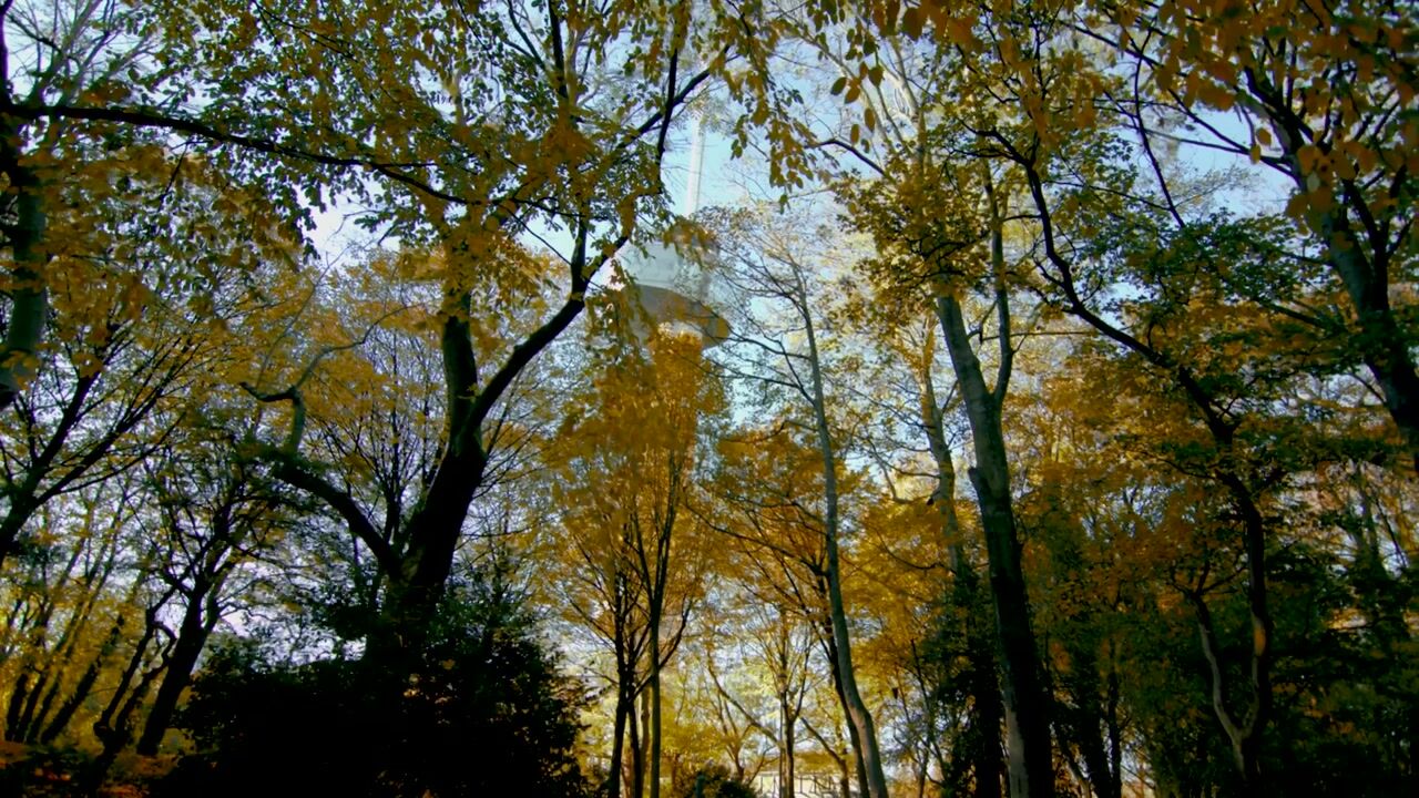 Video van Claes de Vrieselaan 160-B01