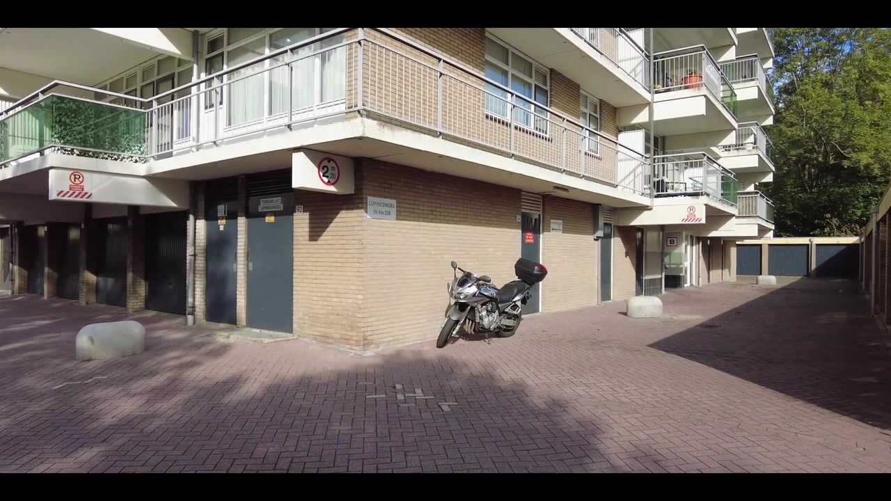 Video of Lupinesingel 176
