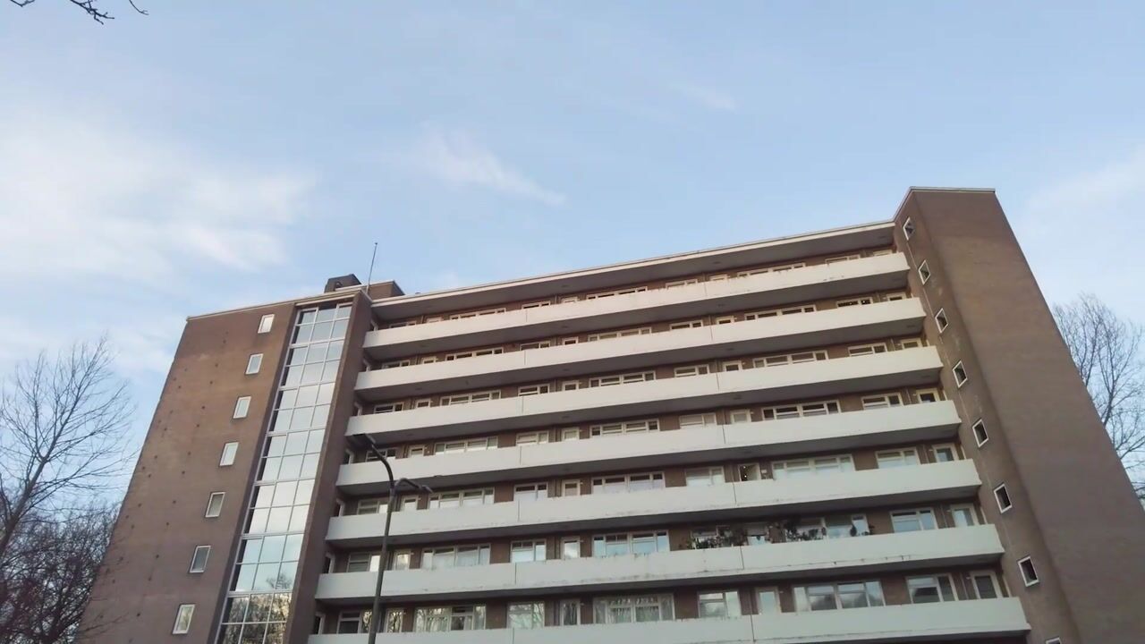 Video of Populierenlaan 503