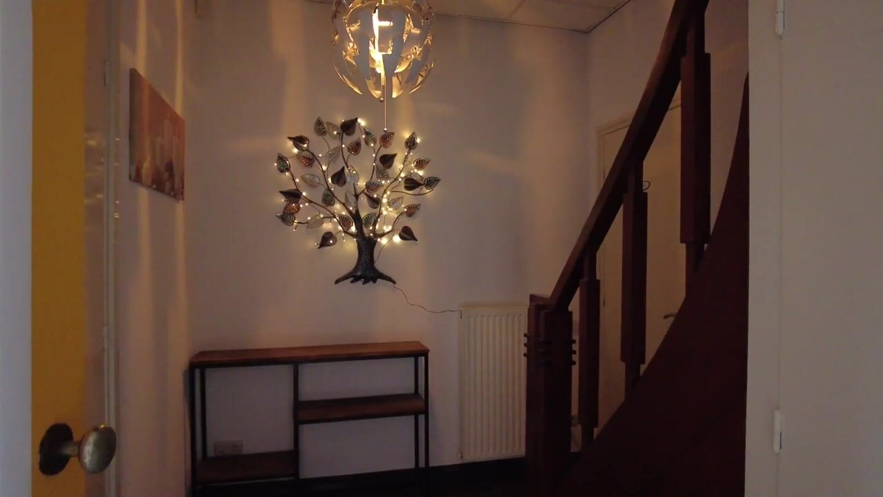 Video of Bosstraat 60