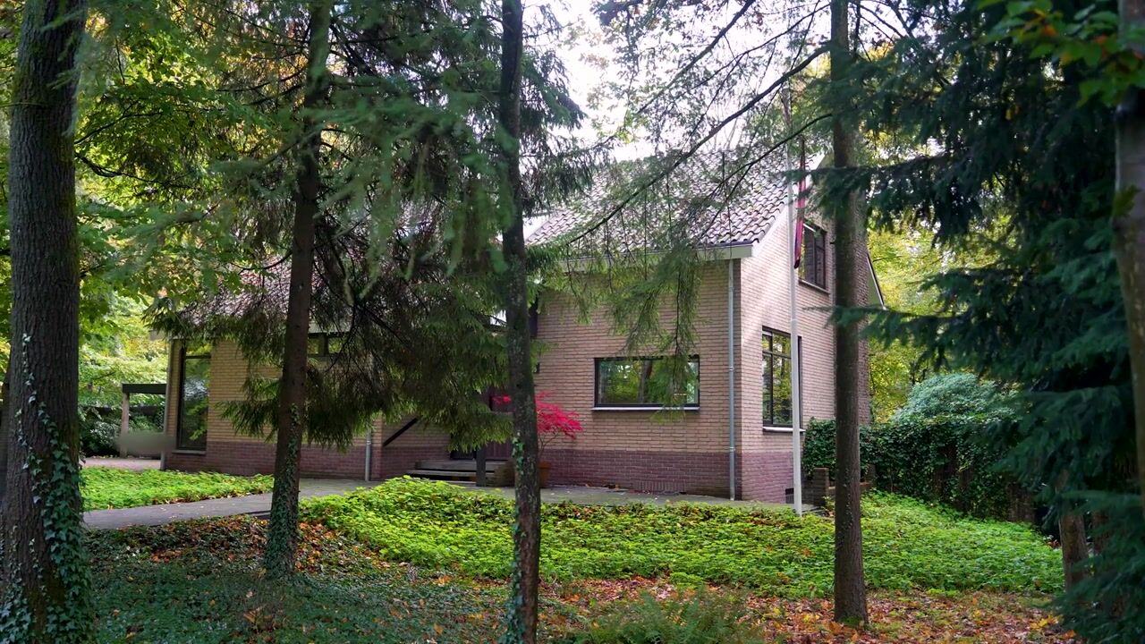 Video van Heimanslaan 28