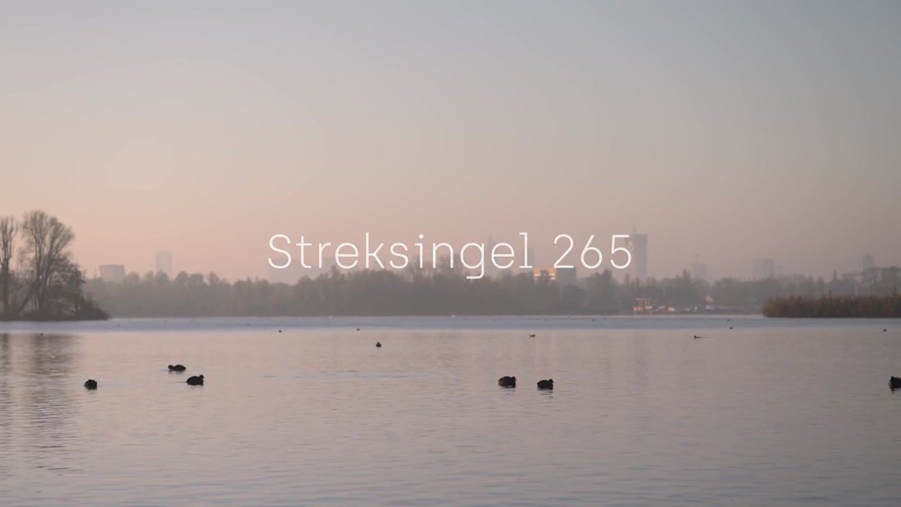 Video van Streksingel 265