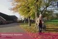 Bekijk video