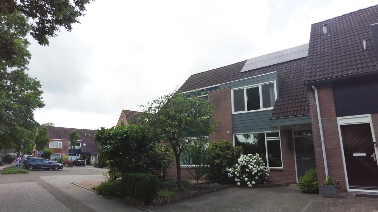 Video van Zeezwaluw 3