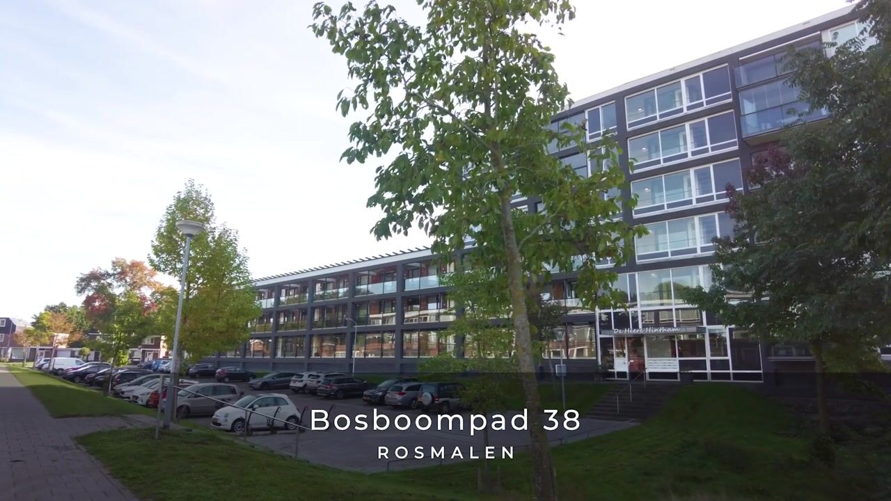 Video of Bosboompad 38