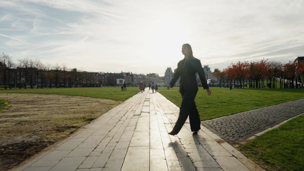 Video of Pieter de Hoochstraat 5-F