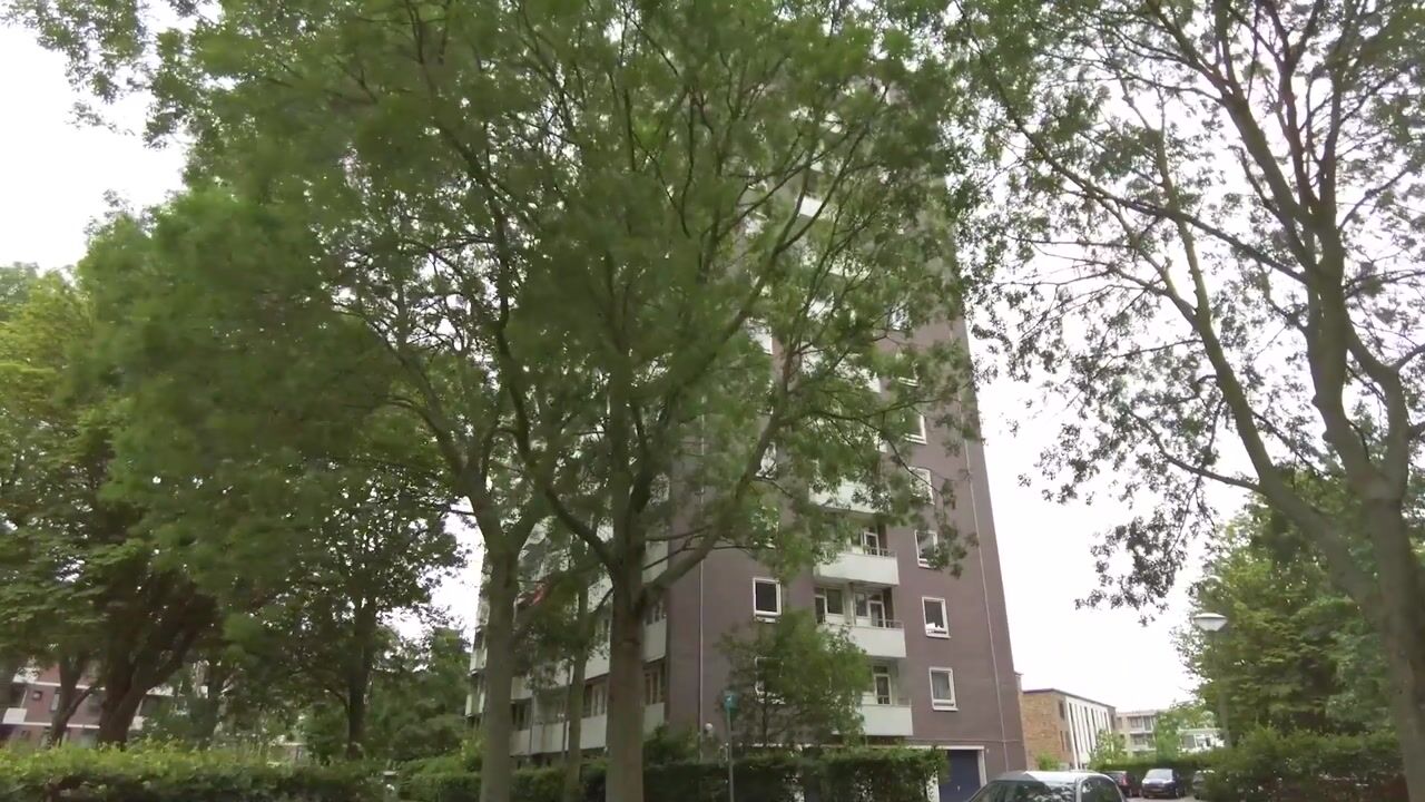 Video van Roggekamp 561
