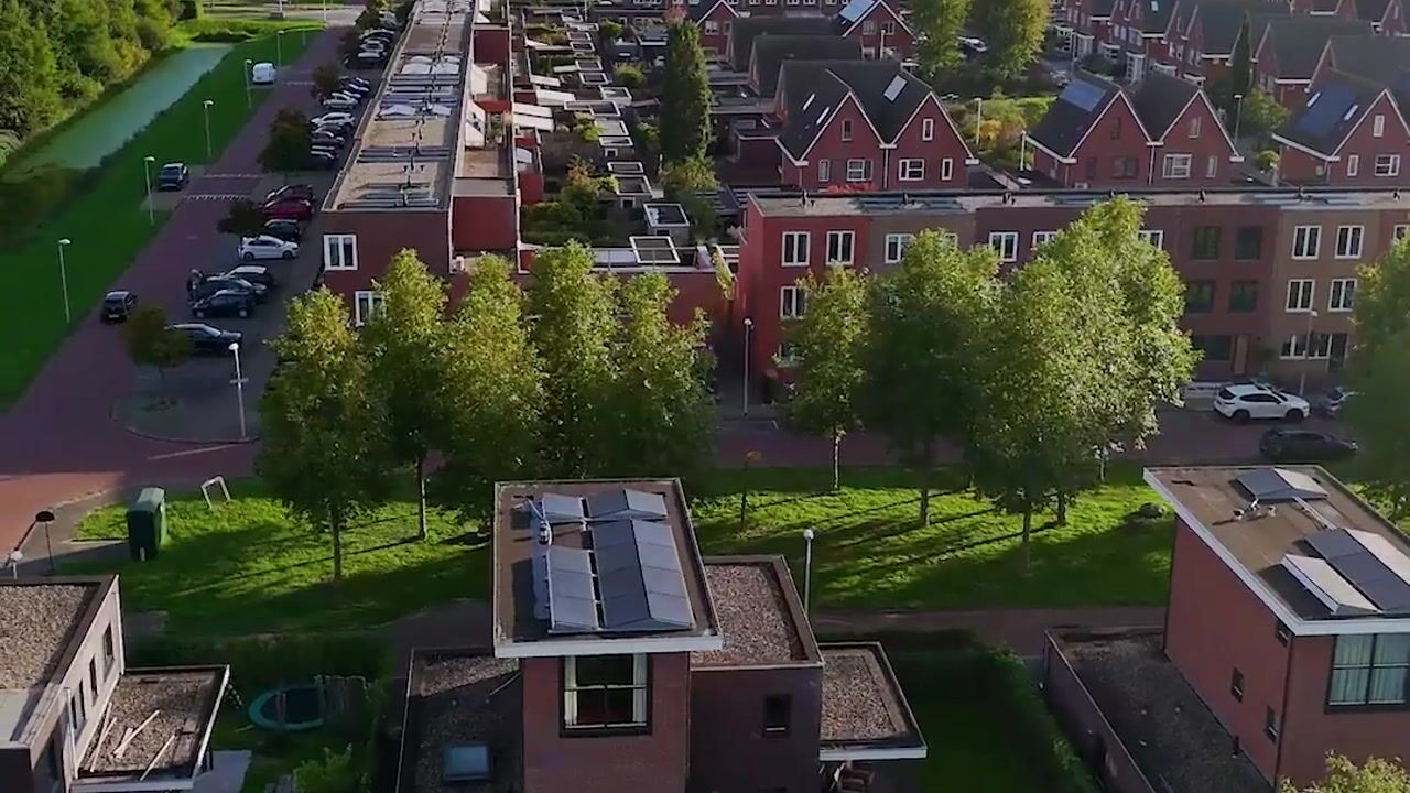 Video van Heivlinder 4