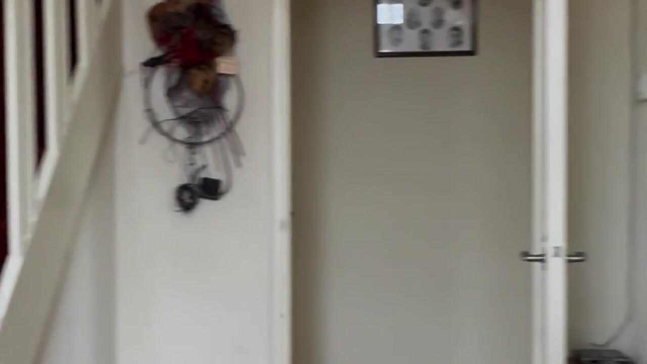 Video van Europalaan 28