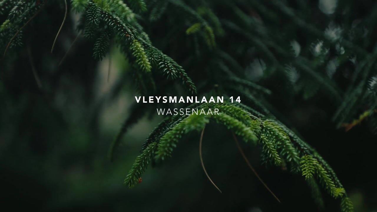 Video van Vleysmanlaan 14