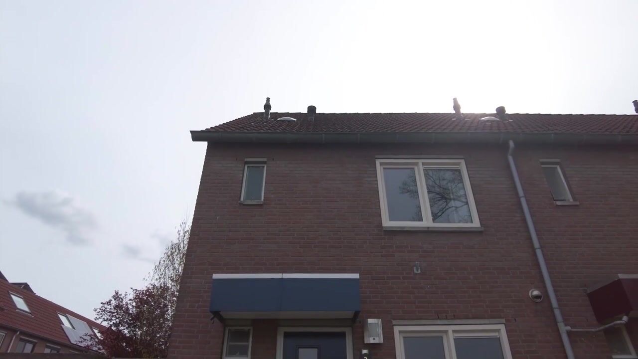 Video van Hindenweide 2