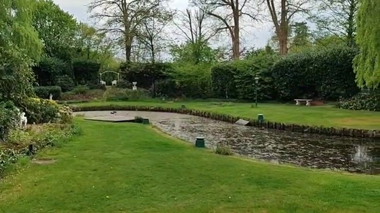 Video van Bredaseweg 39