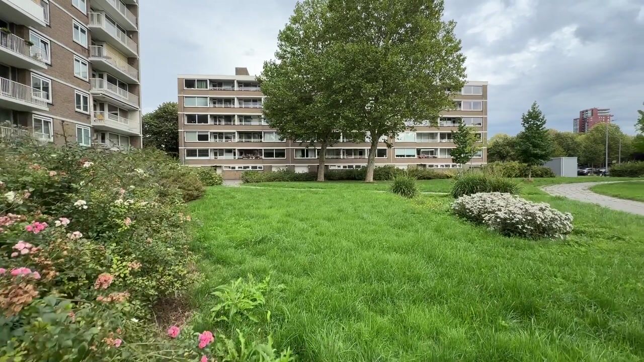 Video van Jacob van Campenweg 39