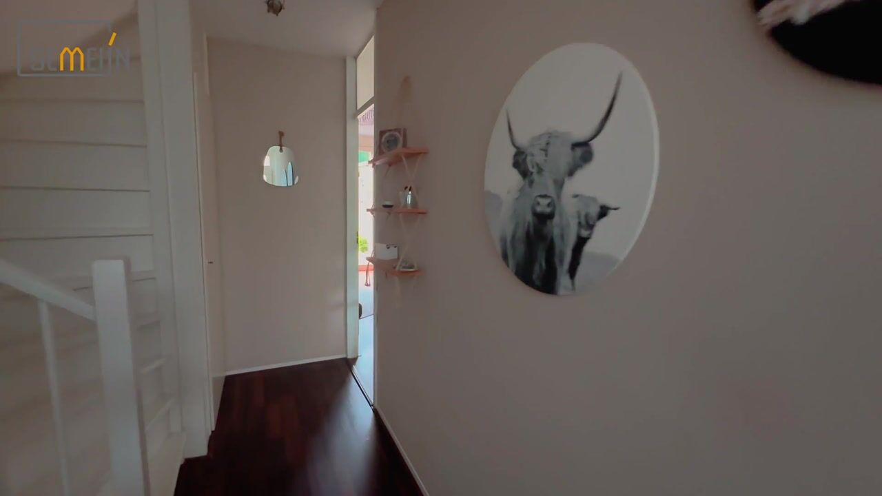 Video of Waalstraat 151