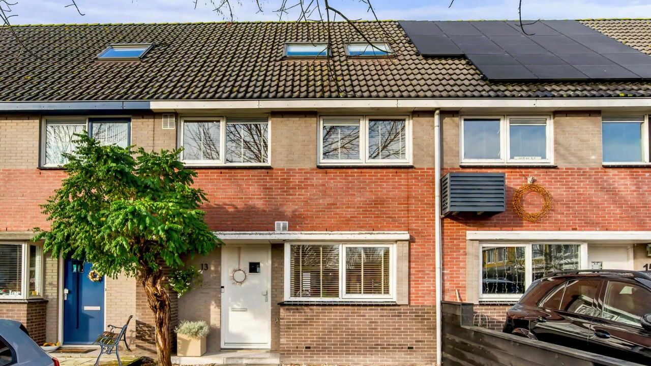 Video of Tureluur 13