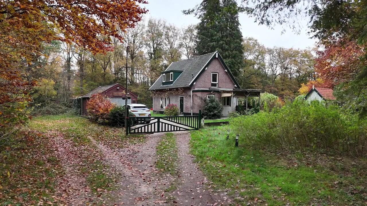 Video van Grensweg 2