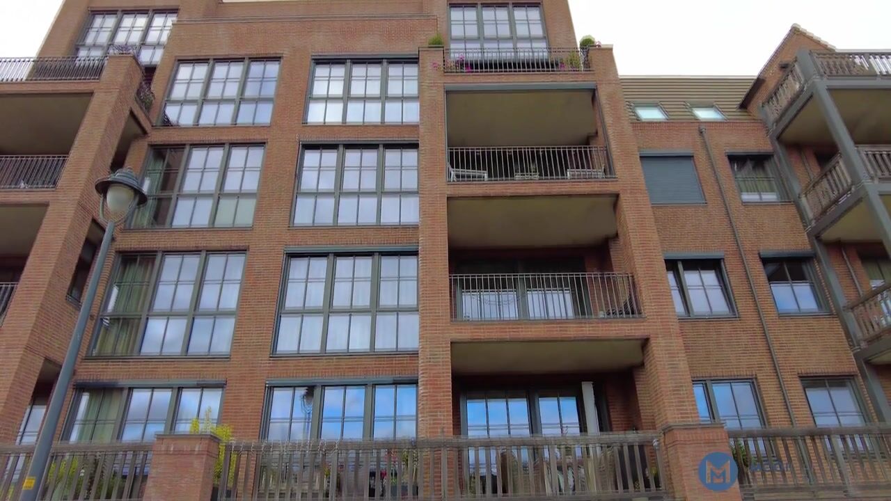 Video of Thomas Morelaan 251