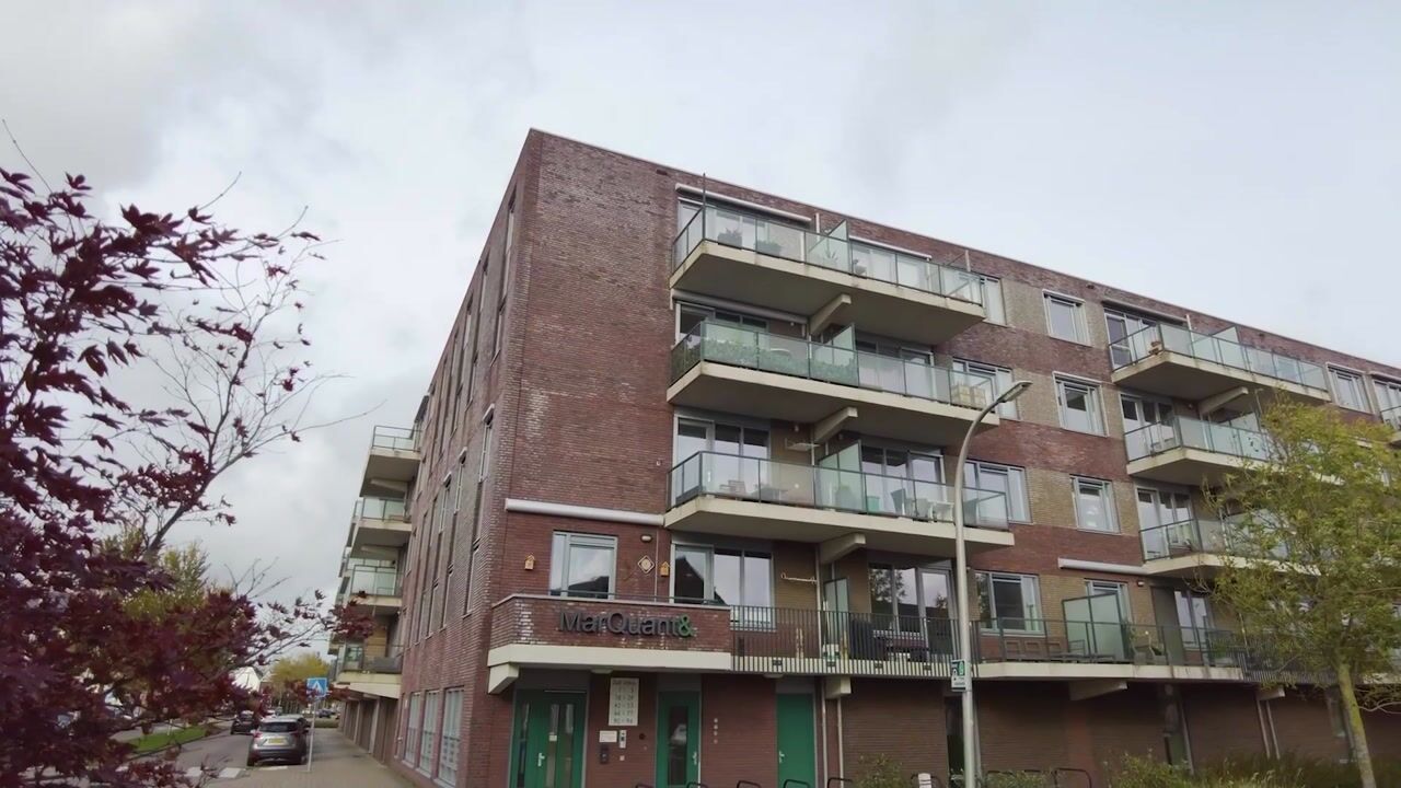 Video of Vossenzoom 47