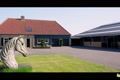 Bekijk video