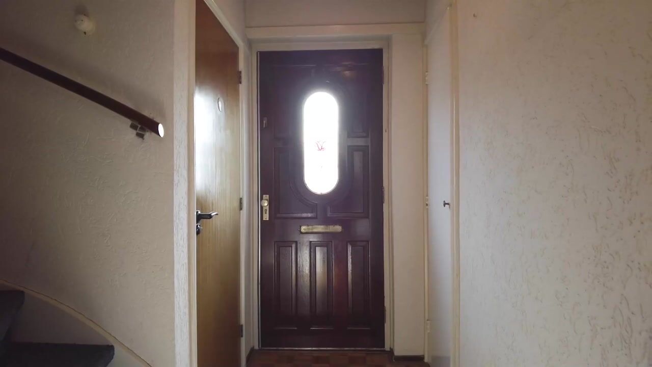 Video of Schaepmanstraat 12