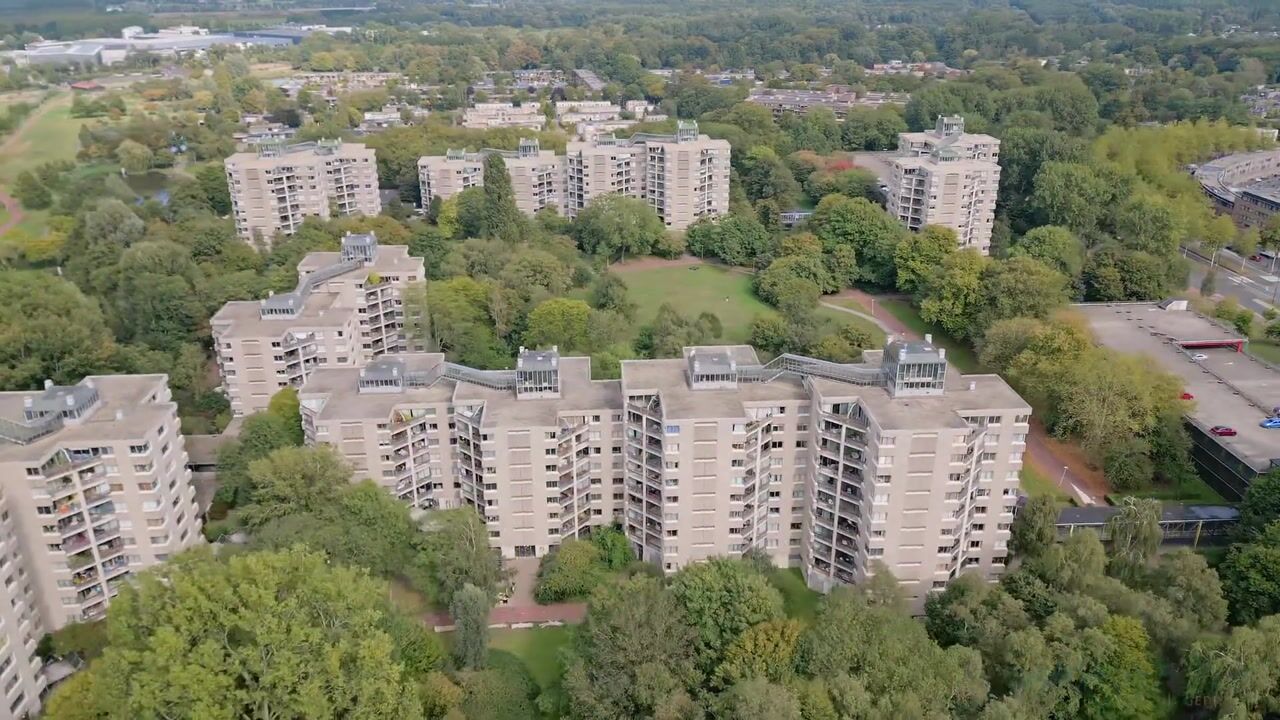 Video of Gouden Leeuw 352