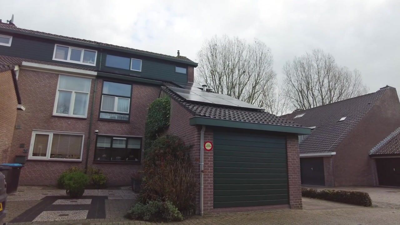 Video of Vlasweel 24