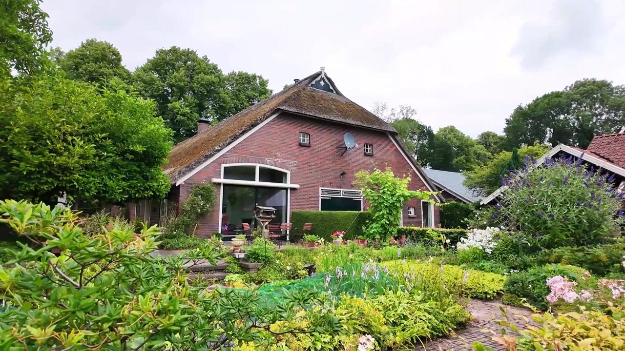 Video van Veenhof 6