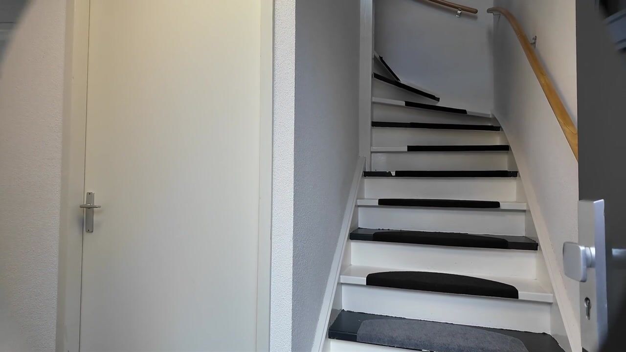 Video van Gazellenburg 28