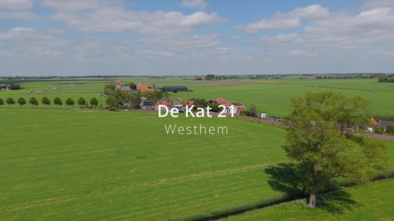 Video van De Kat 21