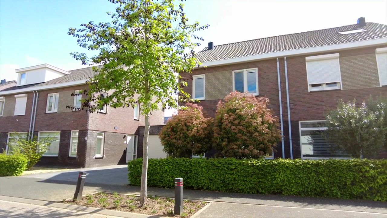 Video of Groene Specht 12