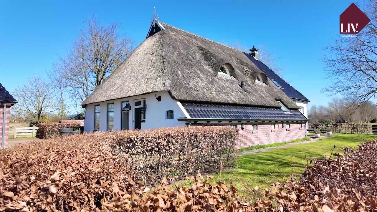 Video van Sanjesreed 12