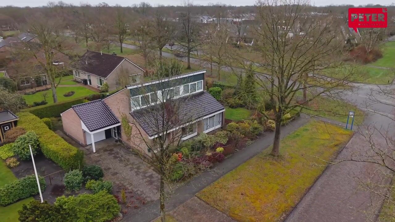 Video van Camphuysen 1