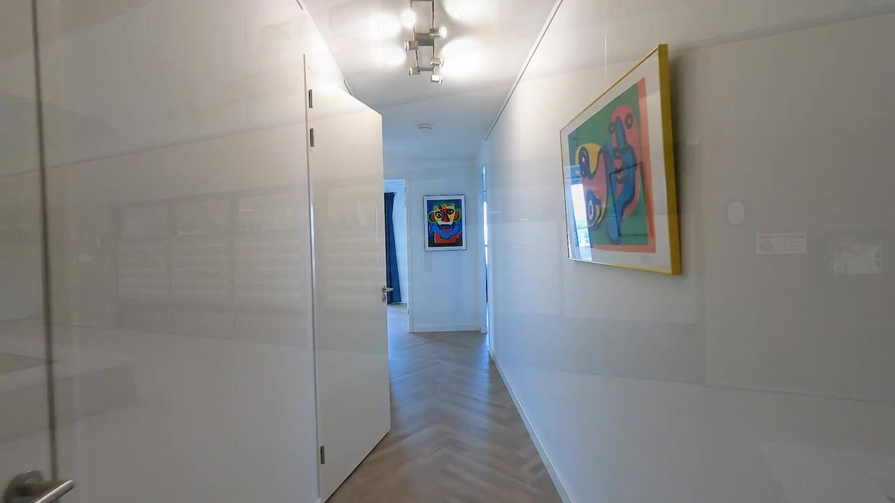 Video van Stadhoudersplantsoen 246