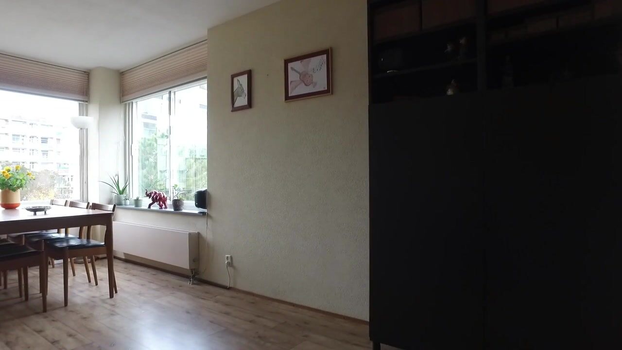 Video van Louis Davidsstraat 86