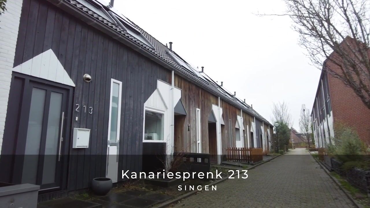 Video van Kanariesprenk 213