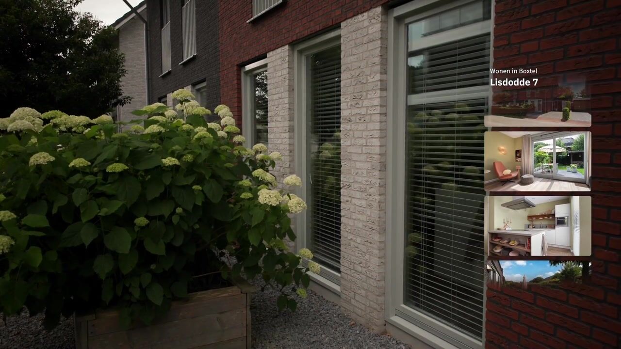 Video van Lisdodde 7