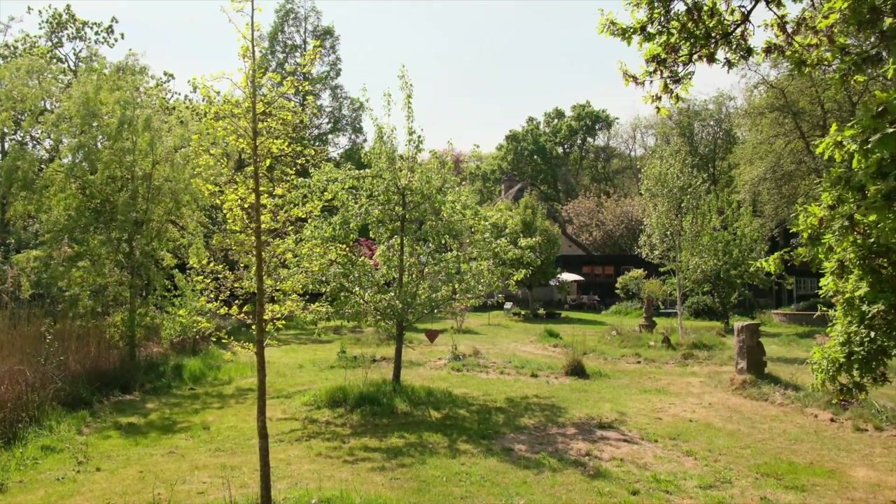 Video van Duinweg 65