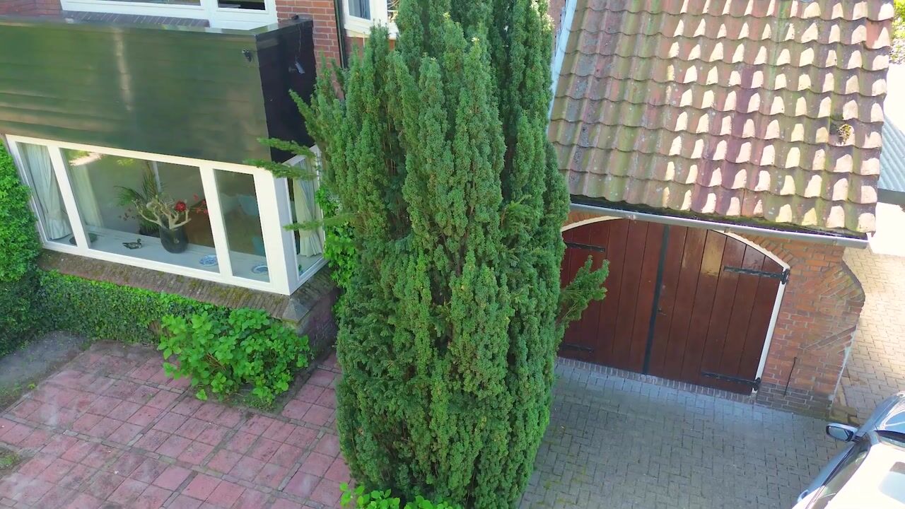 Video van Plaswijcklaan 51