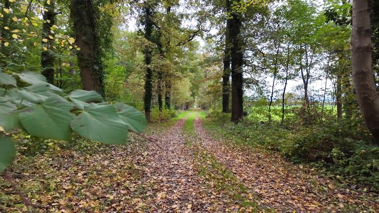 Video of Moersbergselaan 6