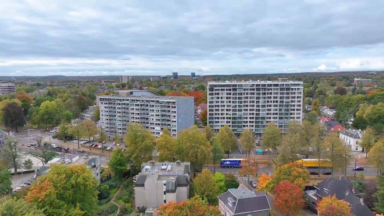 Video of Loolaan 41-154