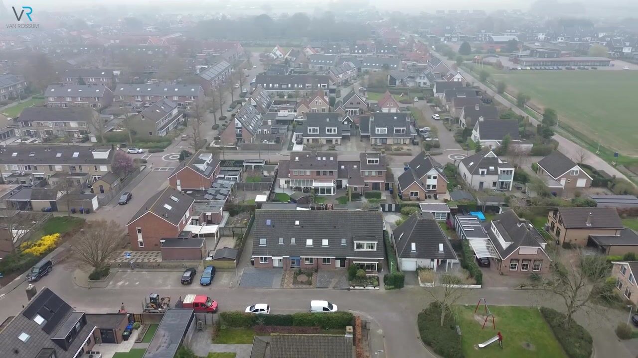 Video van Narcissenpad 52