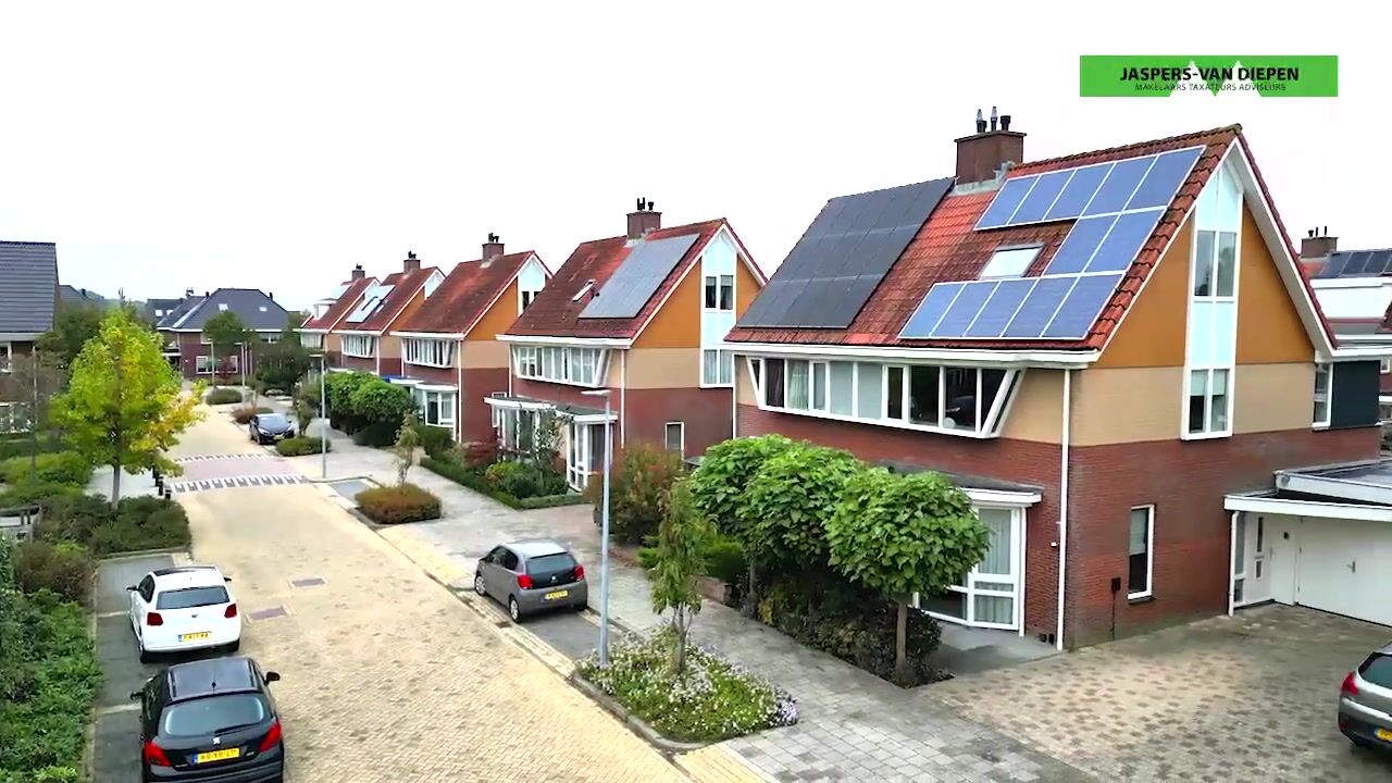 Video van Goudhaver 6