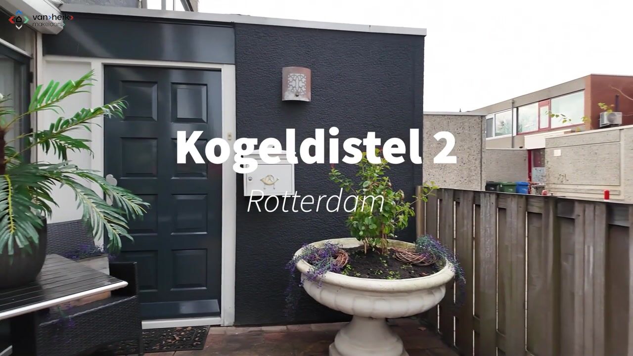 Bekijk video van Kogeldistel 2