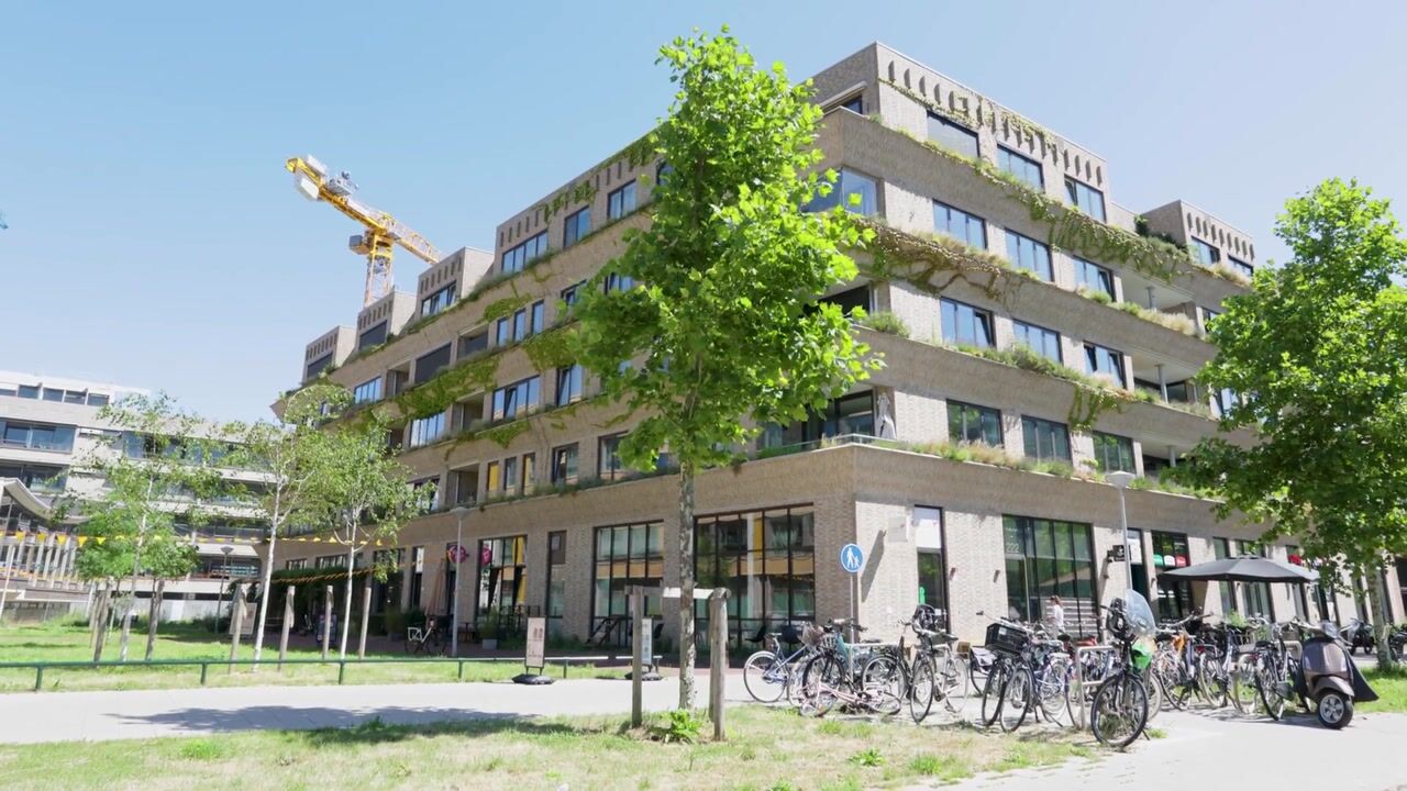Video van Schipluidenlaan 194