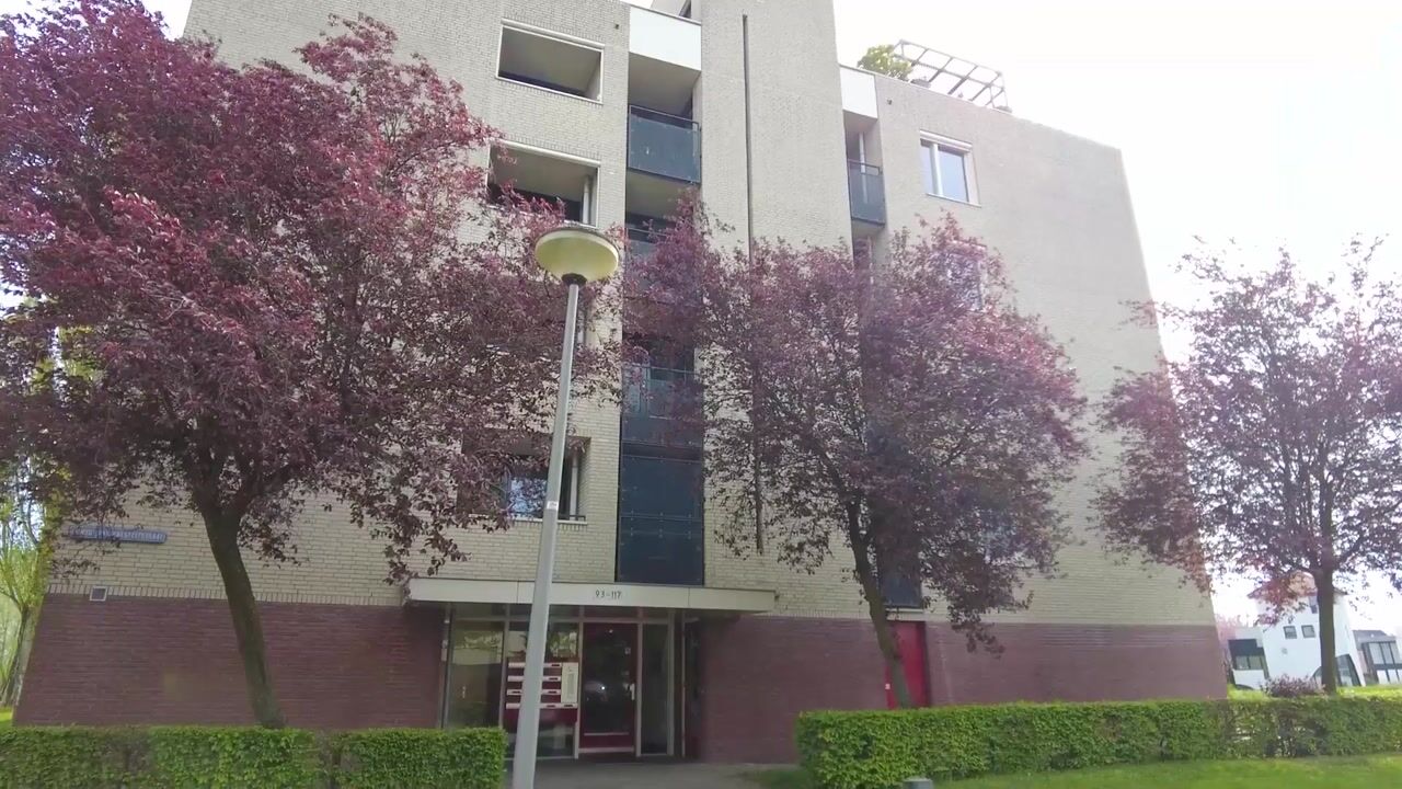 Video van Schout van Raesfeltstraat 107