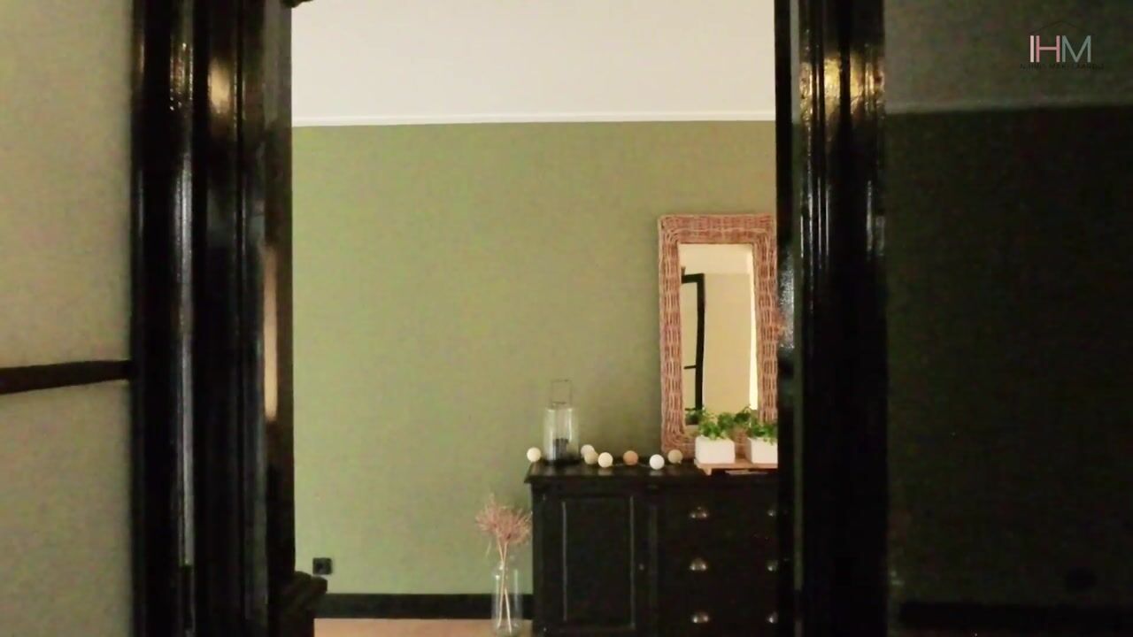 Video of De Bouw 199