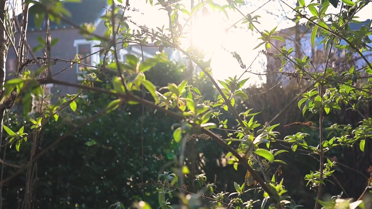 Video van Radstakeweg 22