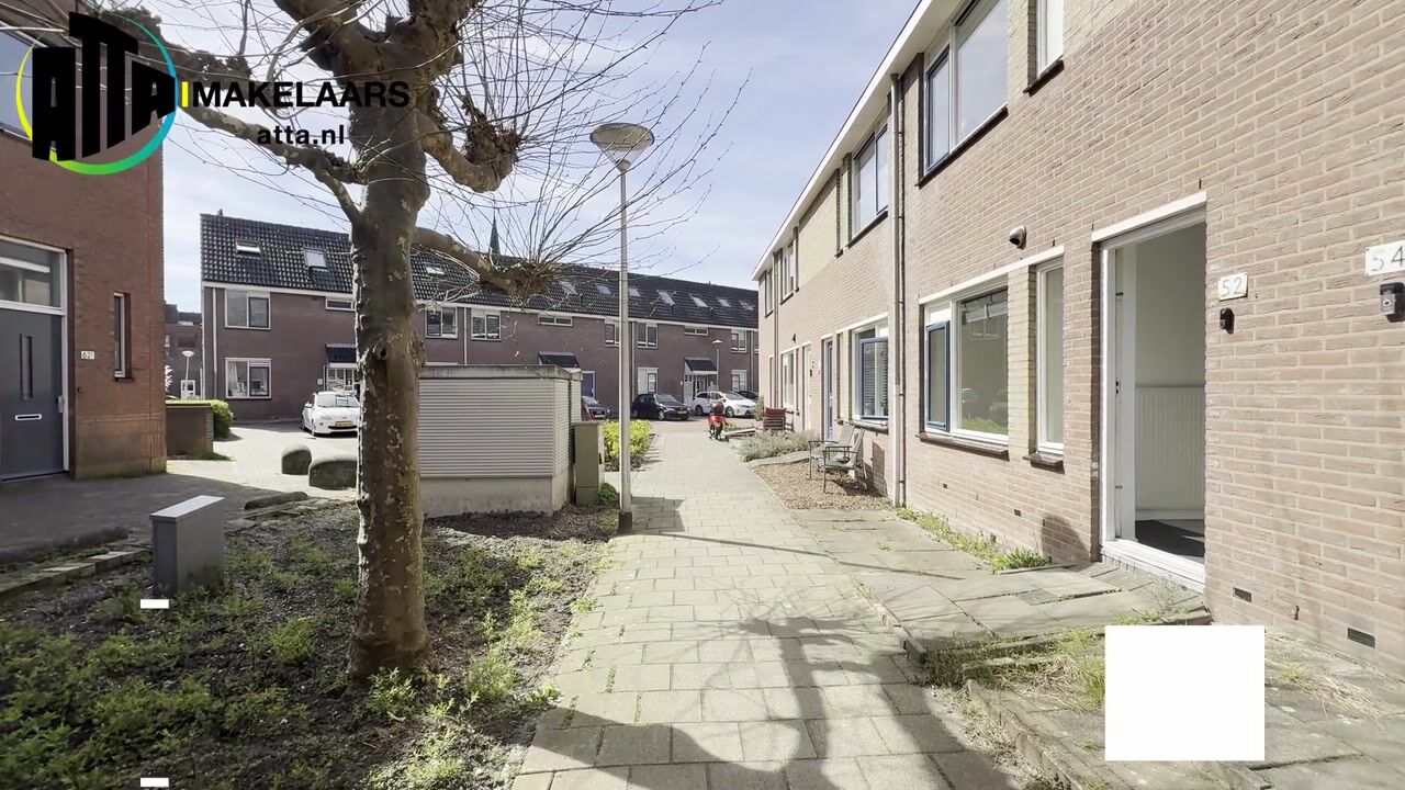 Video of Torenpad 52