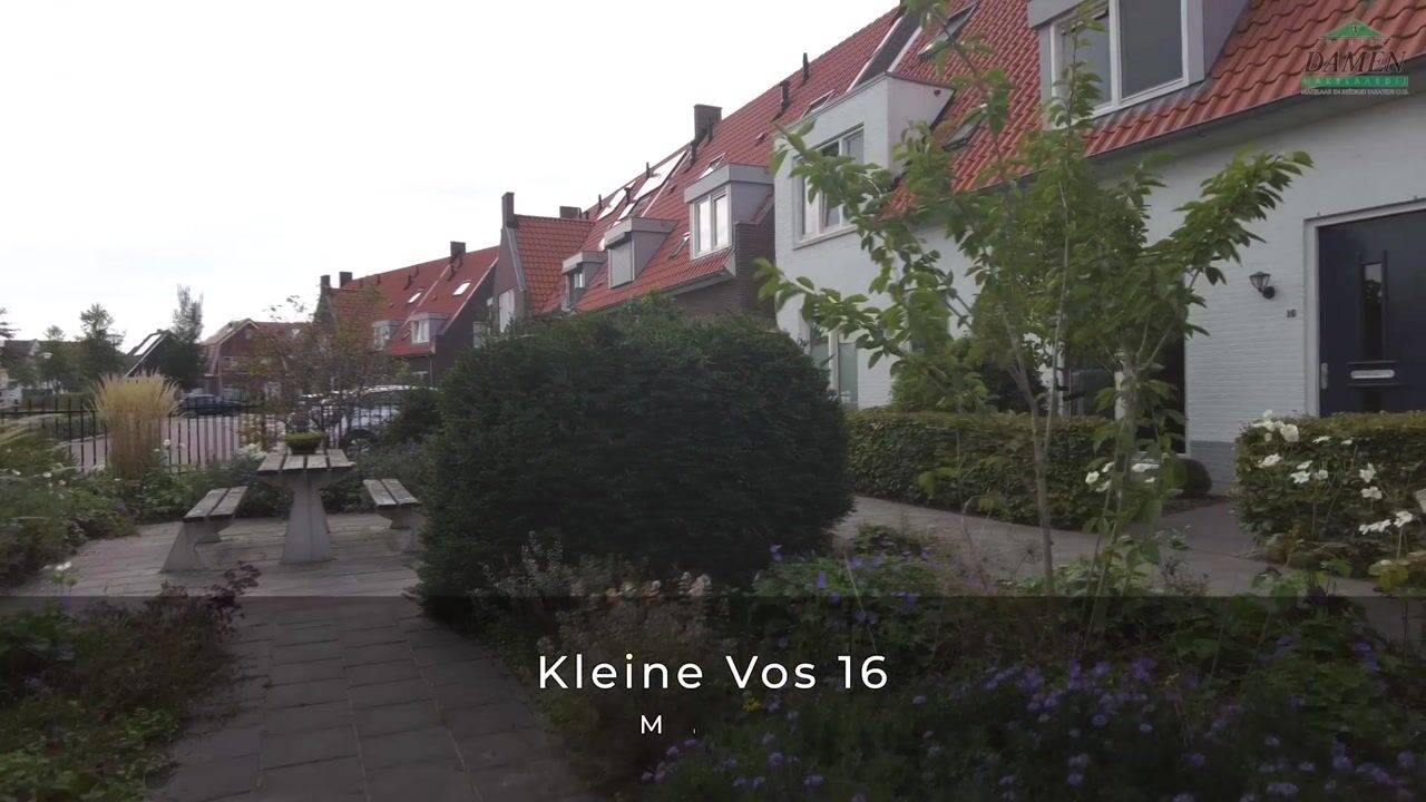 Video van Kleine Vos 16