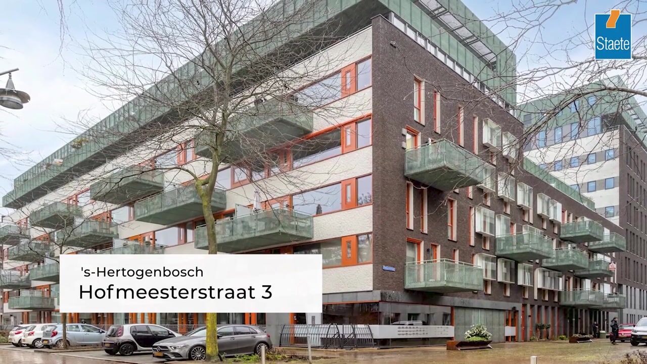 Video of Hofmeesterstraat 3